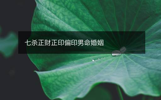 七杀正财正印偏印男命婚姻