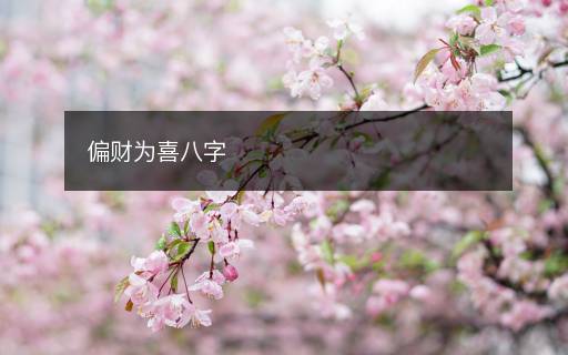 偏财为喜八字