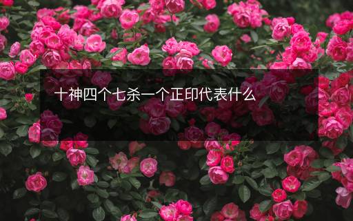 十神四个七杀一个正印代表什么