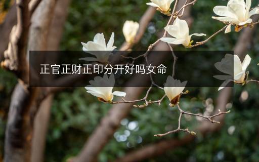 正官正财正印分开好吗女命