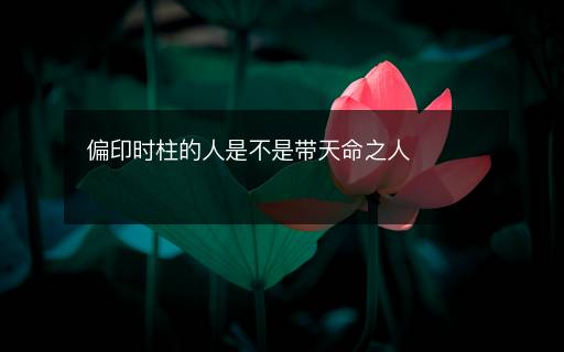 偏印时柱的人是不是带天命之人