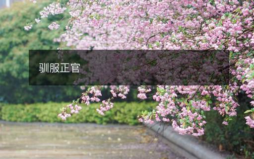 驯服正官