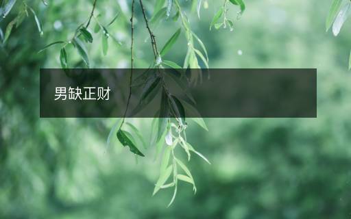 男缺正财