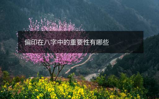 偏印在八字中的重要性有哪些