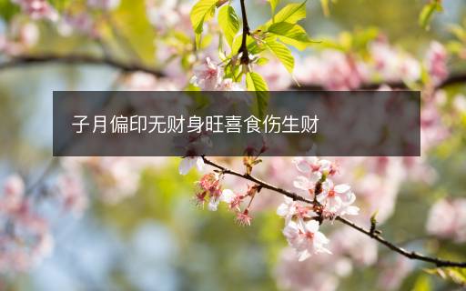 子月偏印无财身旺喜食伤生财