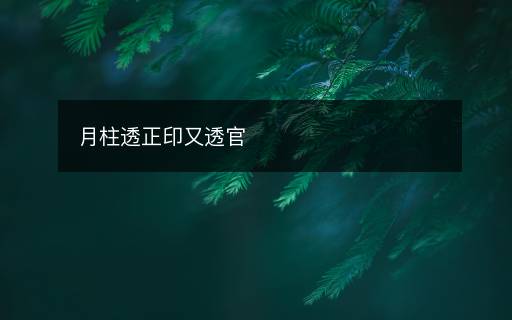 月柱透正印又透官 月柱透正印又透官