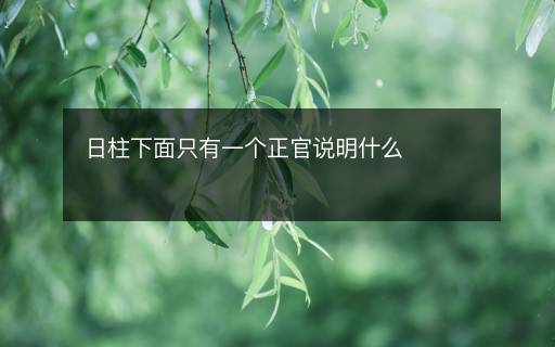 日柱下面只有一个正官说明什么