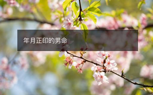 年月正印的男命 年月正印的男命
