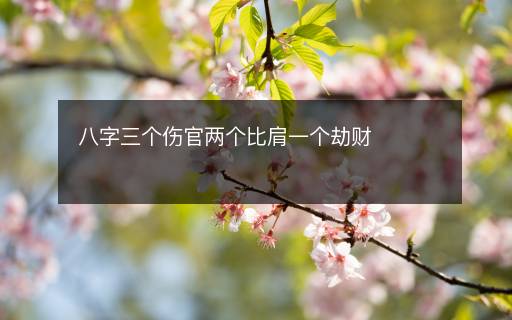 八字三个伤官两个比肩一个劫财
