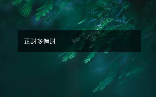 正财多偏财