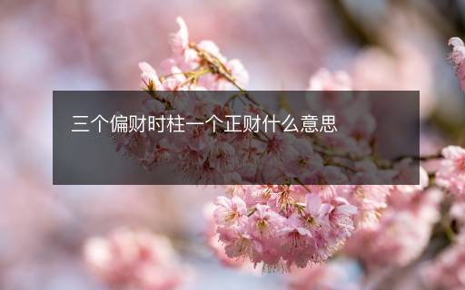 三个偏财时柱一个正财什么意思