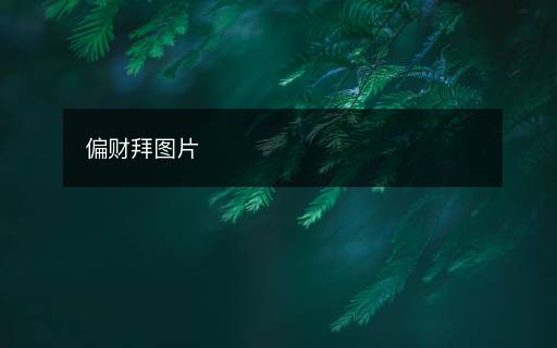偏财拜图片 偏财拜图片