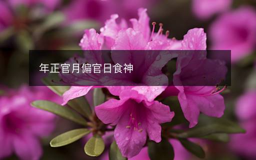 年正官月偏官日食神 年正官月偏官日食神