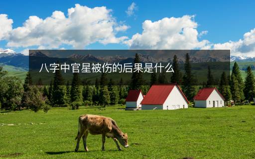 八字中官星被伤的后果是什么