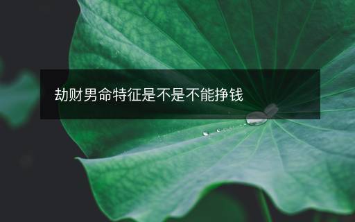 劫财男命特征是不是不能挣钱
