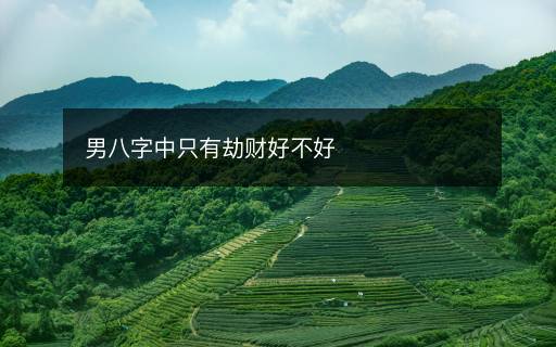 男八字中只有劫财好不好