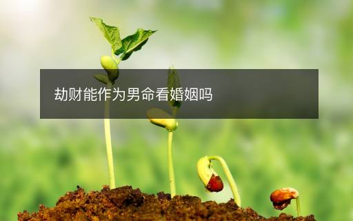 劫财能作为男命看婚姻吗