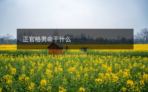 正官格男命干什么