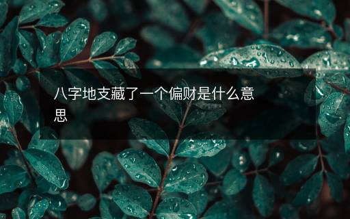 八字地支藏了一个偏财是什么意思