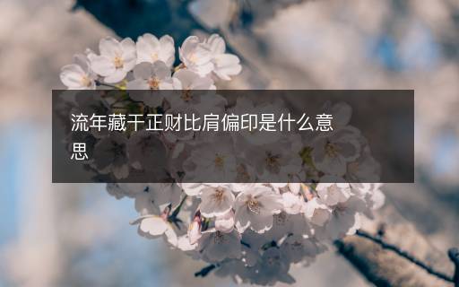 流年藏干正财比肩偏印是什么意思