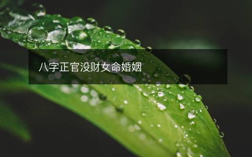 八字正官没财女命婚姻