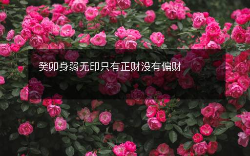 癸卯身弱无印只有正财没有偏财
