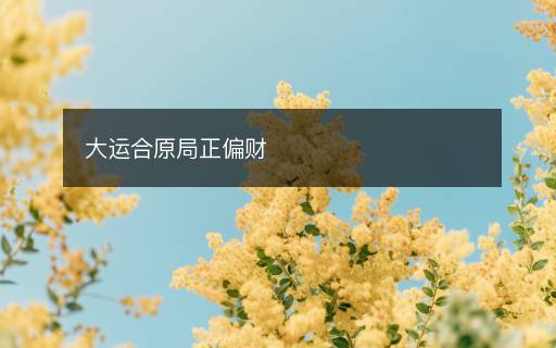 大运合原局正偏财