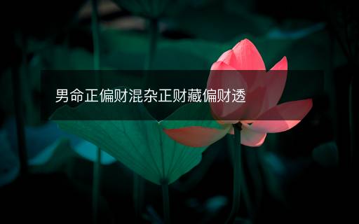 男命正偏财混杂正财藏偏财透 男命正偏财混杂正财藏偏财透